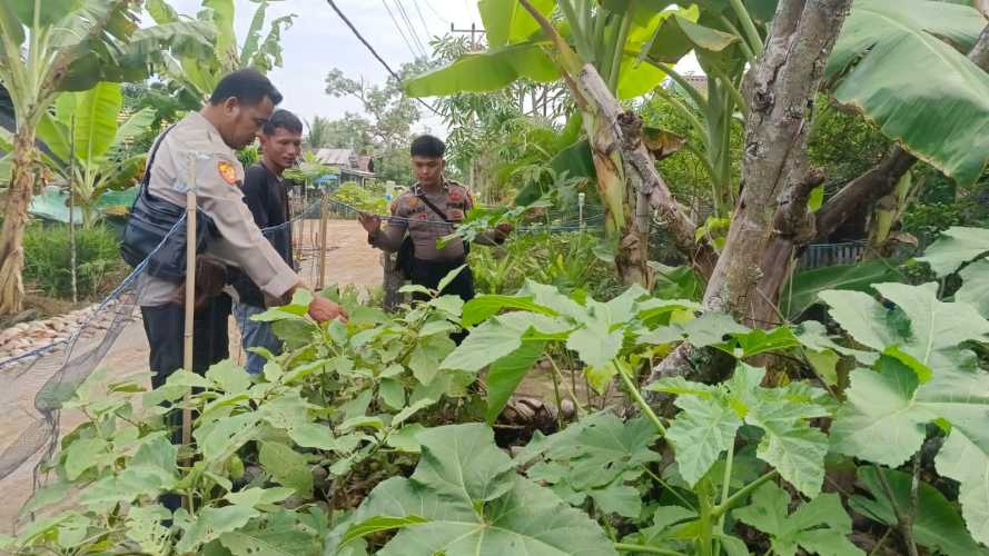 Personel Polsek Enok Dukung Ketahanan Pangan Melalui Kunjungan ke Pekarangan Warga