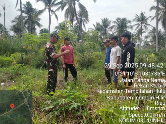 Babinsa dari Koramil 01/Tbh, Serka Masri, melaksanakan patroli tapal batas desa