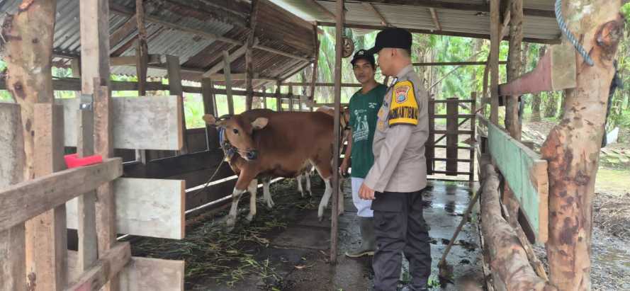 Cegah Penyakit Hewan, Bhabinkamtibmas Polsek Pelangiran Imbau Peternak Rajin Vaksinasi Saat Monitoring Ternak