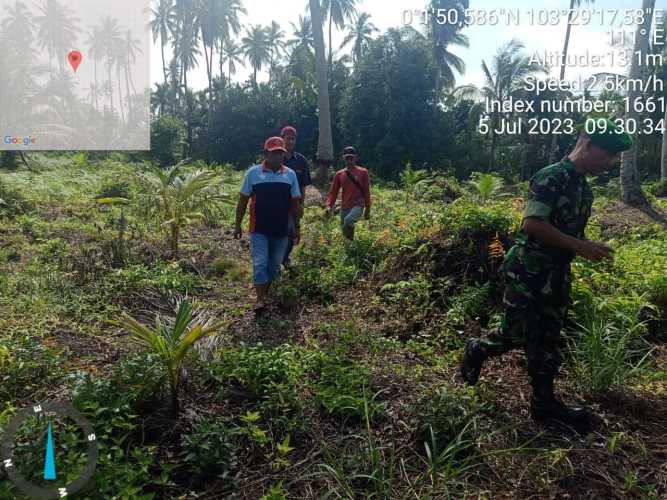 Serma H.Situmorang Tinjau Secara Rutin Lahan Gambut Kering