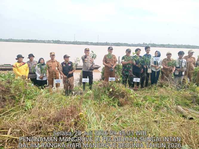 Kepala Desa Pulau Palas Arifin, S.Ag Ikuti Penanaman Mangrove di Sungai Intan
