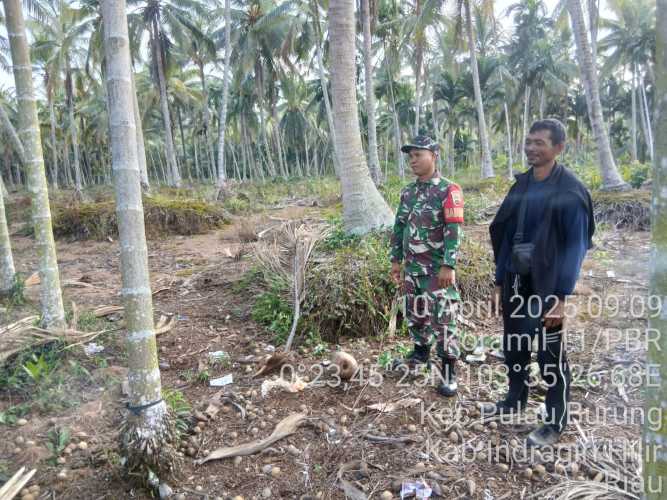 Babinsa Koramil 11/PBR Pimpin Patroli Cegah Karhutla di Desa Pulau Burung