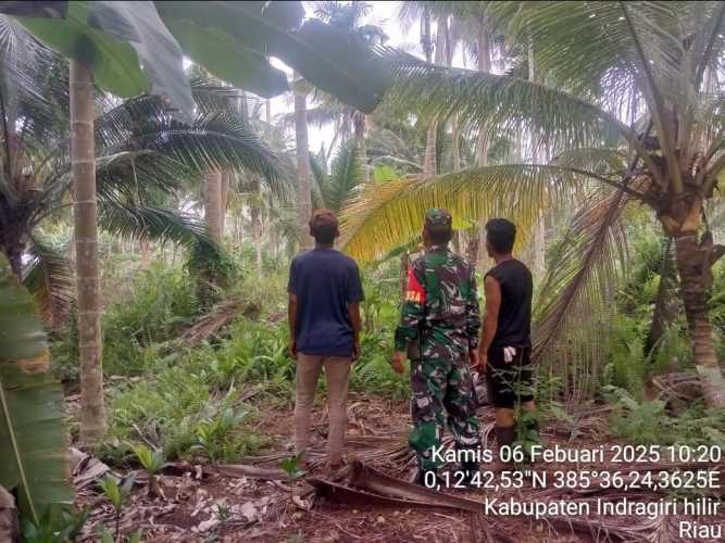 Babinsa Koramil 11/PBR Sukses Pantau Karhutla di Ringin Jaya