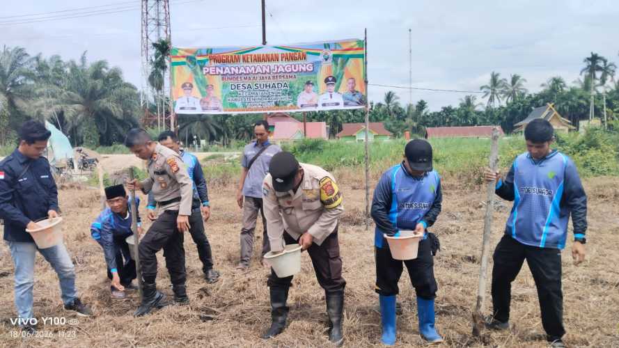Personil Polsek Enok Terus Menggesa Penanaman Jagung di Kuartal II