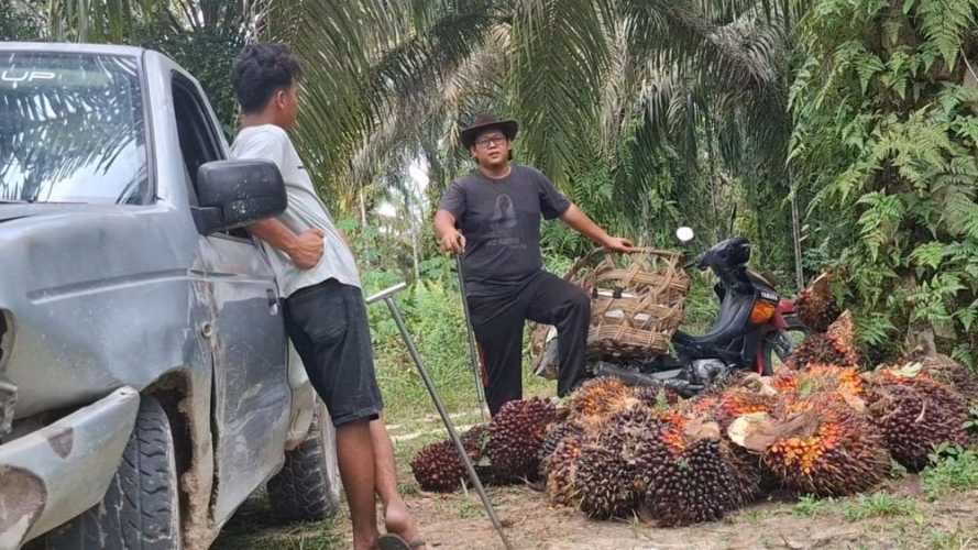 Bapenda Riau Perlu Kajian Mendalam Sebelum Terapkan Pajak Air di Lahan Sawit