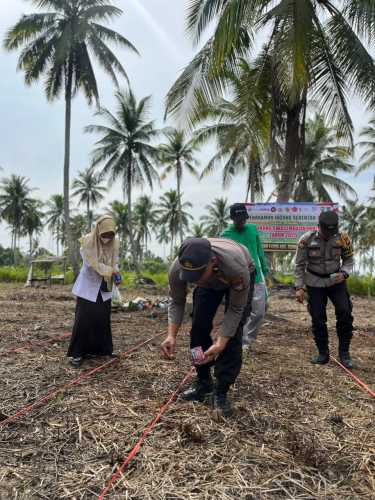 Swasembada Pangan, Polsek Tembilahan Hulu dan Masyarakat Kembali Tanam Jagung di Pulau Palas