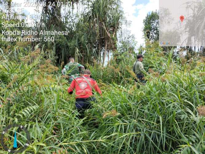 Babinsa Lakukan Pengawasan Aktifitas Warga Sekitar Lahan Konsesi