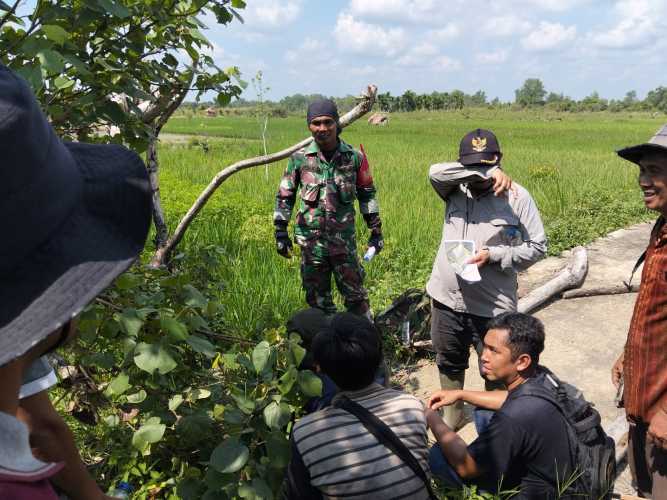 Babinsa Serka Jondri Mendukung Lahan Ketahanan Pangan melalui Komsos