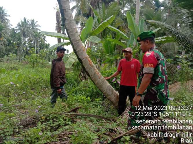 Babinsa Seberang Tembilahan Cegah Karlahut Lewat Patroli Rutin