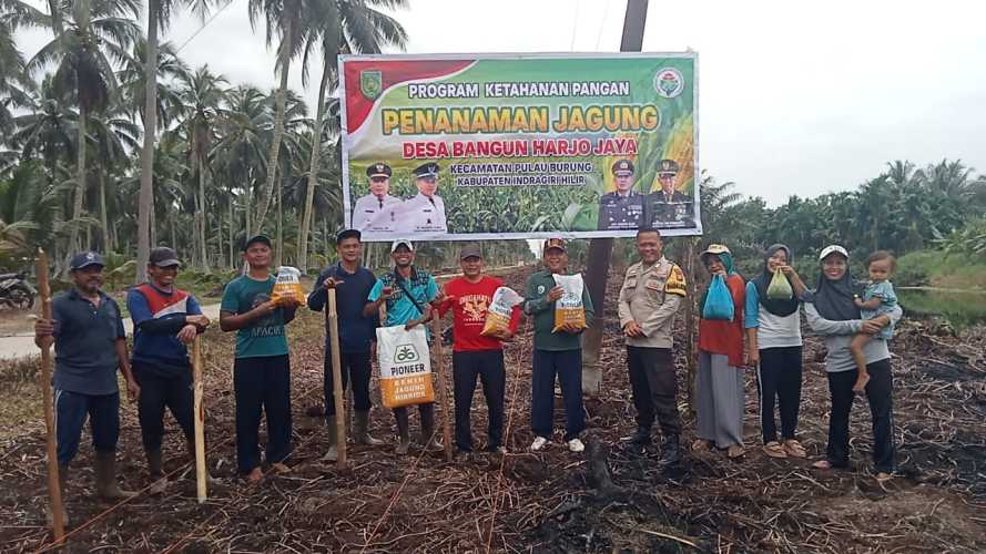 Bhabinkamtibmas  Polsek Pulau Burung Dampingi Warga Tanam Jagung, Kapolsek: Wujud Nyata Dukung Swasembada Pangan 2025