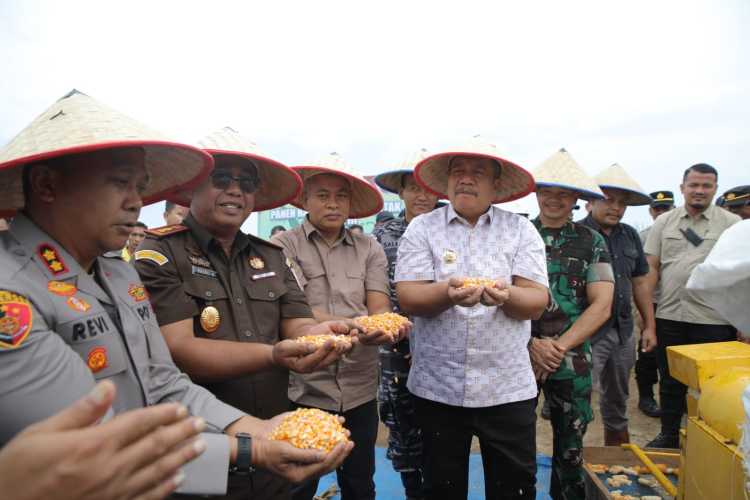 Panen Raya Jagung di Asahan, Polres dan Forkopimda Dorong Swasembada Pangan