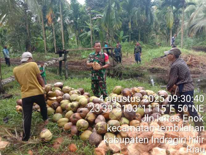 Sertu M. Yasin, Babinsa Teladan di Tembilahan, Berikan Motivasi Ekonomi kepada Petani Kelapa
