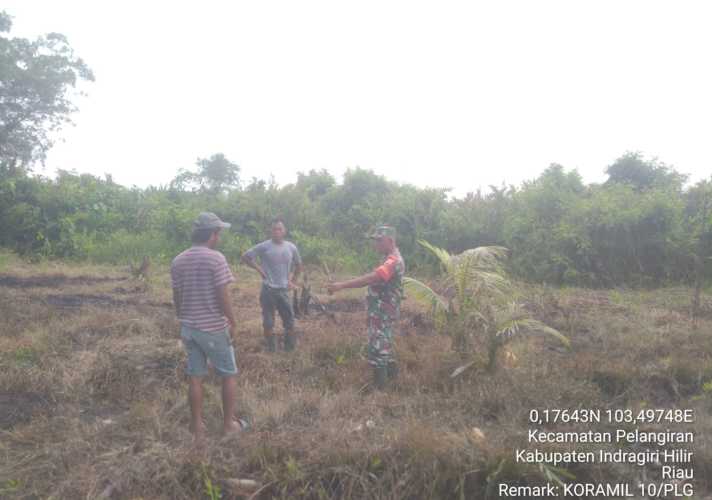 Serda Mulyadi Memberikan Pola Pembukaan Lahan yang Baik