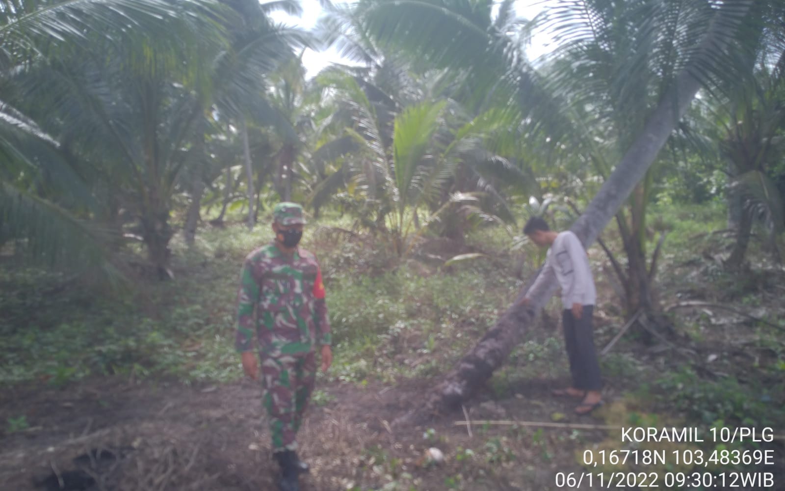 Serda Mulyadi Bimbing Petani Memanage Lahannya dengan Baik