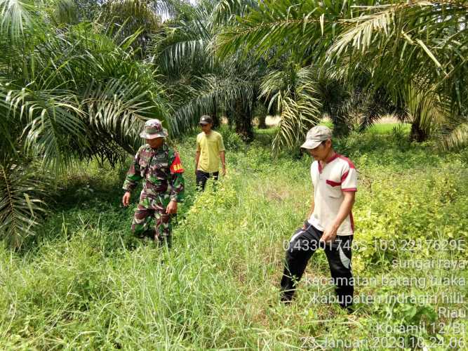 Serka Hepi Martison Mencegah Karhutlah Secara Terpadu