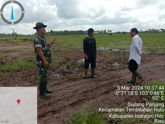 Bantu Program Pemerintah Sertu M.Yasin Bersama dengan Petani Melaksanakan Penanaman Padi