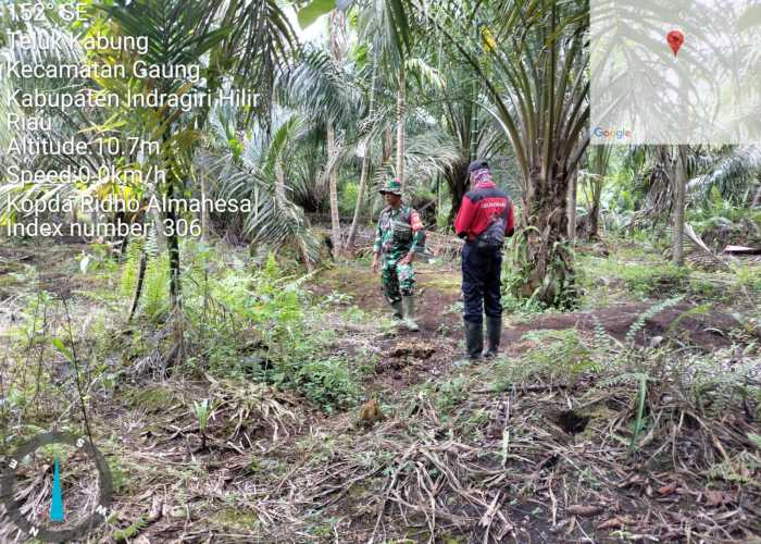 Kopda Ridho Patroli Lahan Konsesi Terbuka