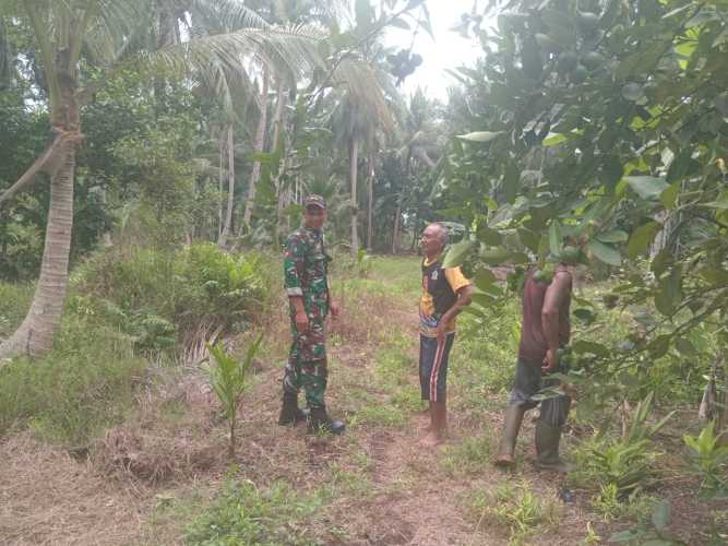 Babinsa Koramil 01/Tembilahan Monitor Tapal Batas Wilayah Sungai Beringin