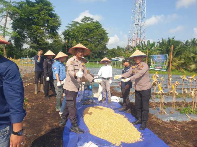 Wujudkan Panen Raya Jagung Serentak Kuartal II Tahun 2026, Kapolsek Pulau Burung Gandeng Sejumlah Perusahaan Tempatan