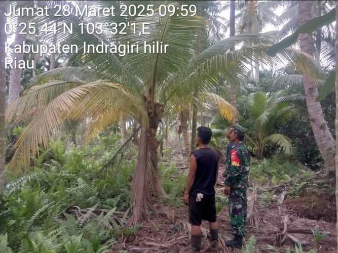 Patroli Sigap Koramil 11/PBR: Tangkal Karhutla, Tak Biarkan Api Berkobar Sejengkal Pun