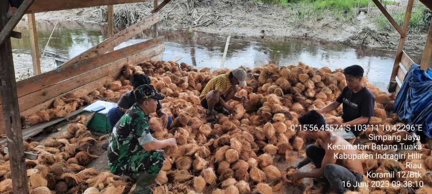 Babinsa Buka Jaring dengan Pengumpul