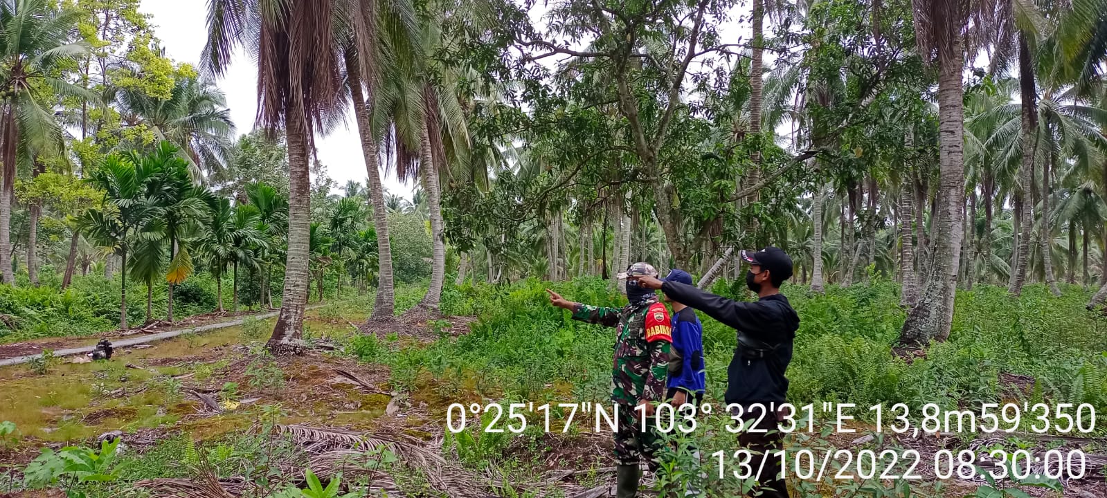 Serda Siswanto Babinsa Koramil 11/Pulau Burung Investigasi Karhutlah