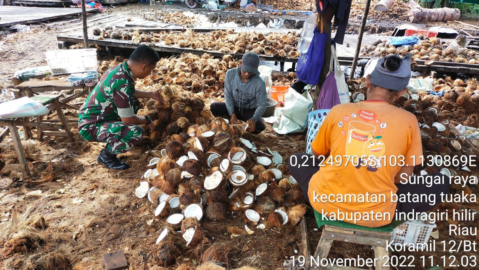 Babinsa Sungai Raya Motivasi Petani Kelapa