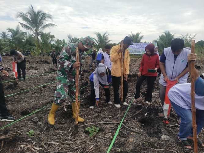Sertu Pernando Sitompul Wakili Danramil dalam Program Tanam Jagung Serentak di Desa Sungai Dusun
