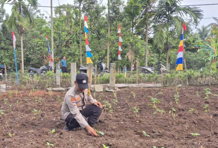 Bhabinkamtibmas Polsek Pelangiran Pantau Perkembangan Kebun Hortikultura Tanaman Pangan di Desa Tagagiri Tama Jaya