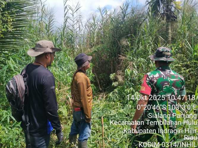Babinsa Sialang Panjang Laksanakan Patroli Tapal Batas dan Tinjau Lahan Ketahanan Pangan Warga