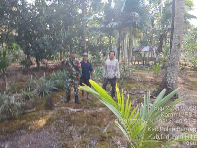 Babinsa Lakukan Pengawasan Terpadu, Cegah Karhutla di Pulau Burung