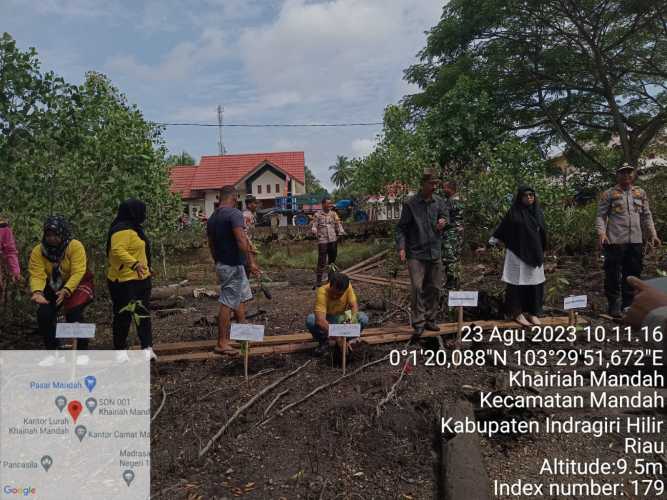 Kopda Sudarwis Lakukan Penghijauan Penanaman Pohon di Tepian Sungai Mandah