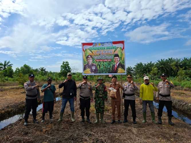 Kelompok Tani Bumi Hijau Desa Bayas Jaya Bersama Polsek Kempas dan Pemdes Tanam Jagung Dukung Program Ketahanan Pangan.