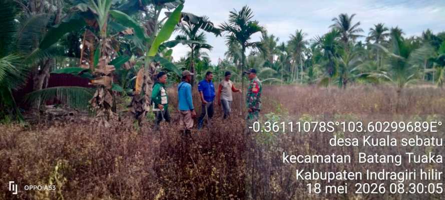 Babinsa Kuala Sebatu Gencarkan Patroli dan Sosialisasi Cegah Karhutla