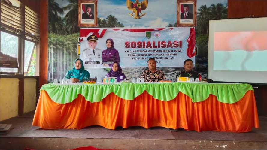 Sosialisasi 6 SPM Posyandu di Pulau Burung