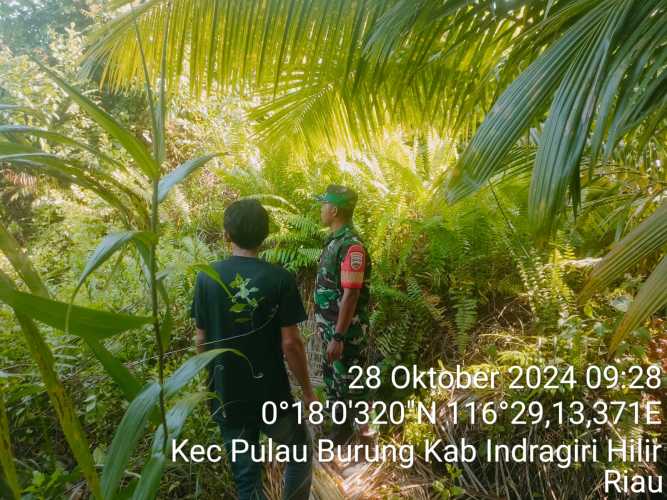 Babinsa Koramil 11/Pulau Burung Patroli Konsoliasi Karhutlah