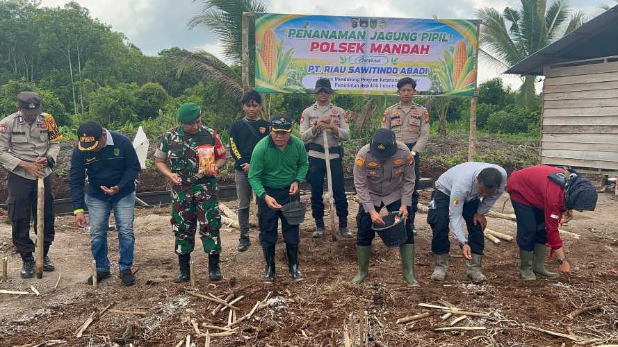 Penanaman Benih Jagung di Lahan PT. Riau Sawitindo Abadi, Wujud Dukungan Polri terhadap Program Ketahanan Pangan Nasional