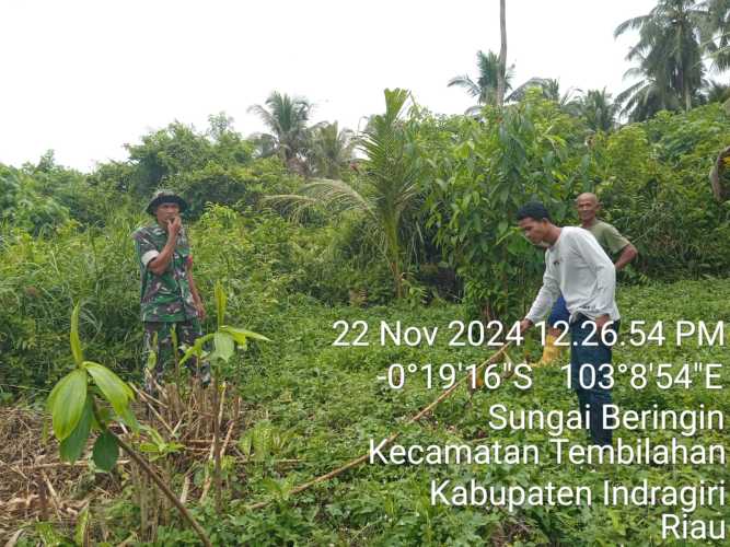 Babinsa Sertu Deni Sutrisno Memastikan Kejelasan dan Keamanan Tapal Batas Wilayah di Kelurahan Sungai Bringin