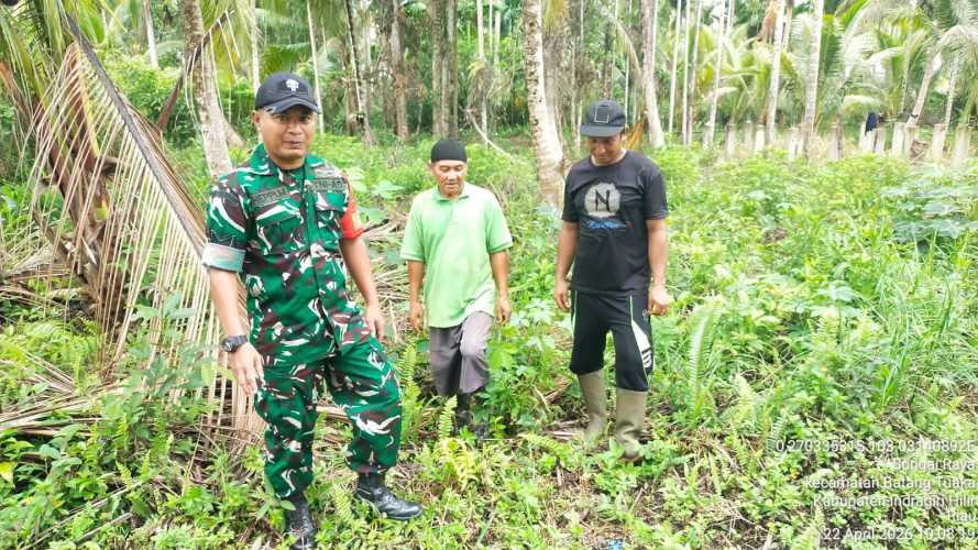 Babinsa Sungai Raya Perkuat Kondusifitas Wilayah Tapal Batas Melalui Patroli dan Sosialisasi Karhutla