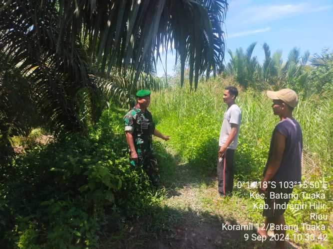 Babinsa Gemilang Jaya Lakukan Pendampingan Penanganan Karhutlah