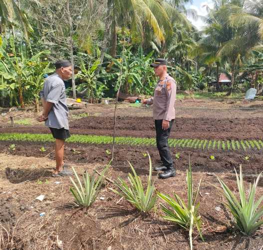 Kapolsek Pulau Burung Dorong Budidaya Kangkung sebagai Sumber Zat Besi Alami bagi Masyarakat