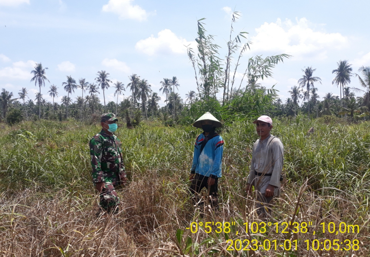 Serma Sasmito Memantau Aktifitas Petani