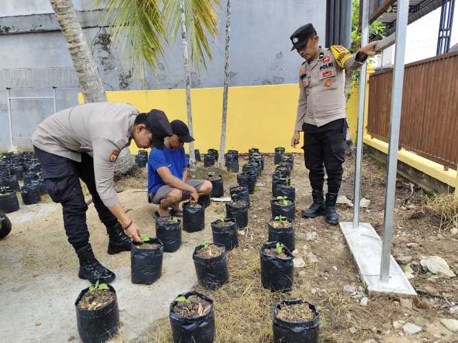 Polsek Tempuling Dukung Program Swasembada Ketahanan Pangan Polda Riau Melalui Pengecekan Pembibitan Cabe