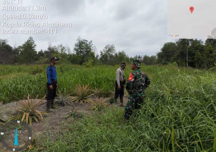 Babinsa Menelusuri  Lahan Konsesi Dalam Patroli Karhutlah