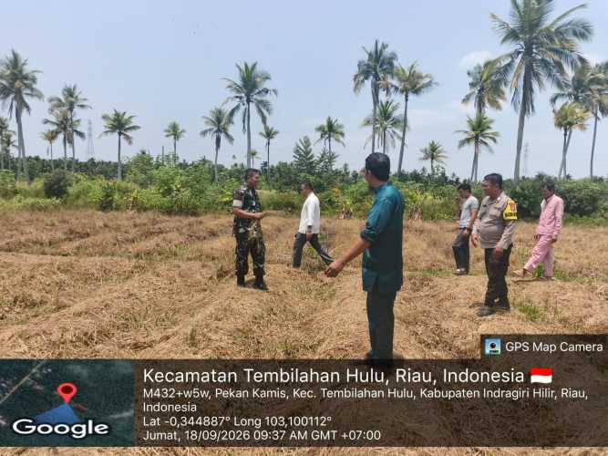 Sinergi TNI-Polri, Babinsa Serda Miskal Patroli Tapal Batas di Desa Pekan Kamis Tembilahan Hulu