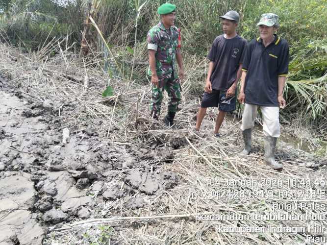 Babinsa Desa Pulau Palas Sertu Ali Sabri Lakukan pemantauan kelembaban areal gambut guna mencegah Karhutla