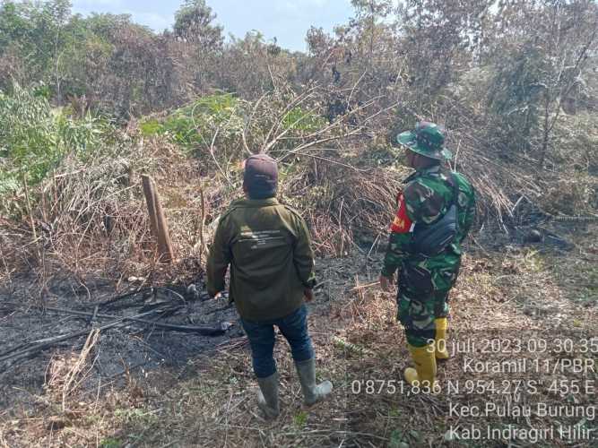 Babinsa  Cek Titik Terbakar di Lahan Masyarakat