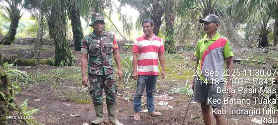 Babinsa Koramil 12/Batang Tuaka Gelar Sosialisasi dan Patroli Tapal Batas di Desa Pasir Mas