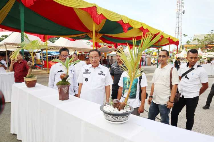 Bupati Drs. HM Wardan MP Meninjau Persiapan Lomba Bonsai Kelapa