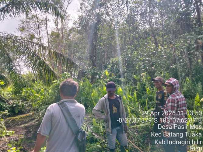 Babinsa Pasir Mas Gencarkan Patroli Terpadu Karhutla, Gandeng Warga Cegah Kebakaran Sejak Dini